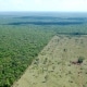 The Economics of Deforestation
