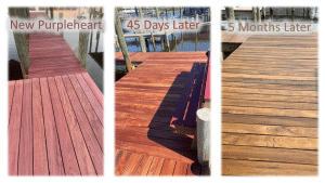 Side-by-side comparison of purpleheart decking showing new installation, 45 days later, and 5 months later with visible color change from vibrant purple to brown.