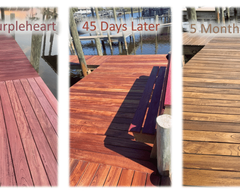 Side-by-side comparison of purpleheart decking showing new installation, 45 days later, and 5 months later with visible color change from vibrant purple to brown.