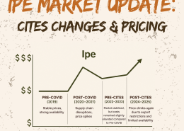 Ipe Decking market update infographic showing rising prices from pre-COVID to post-CITES.