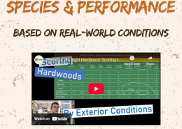 Brazilian hardwood species performance chart based on real-world exterior conditions